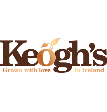 Keogh's